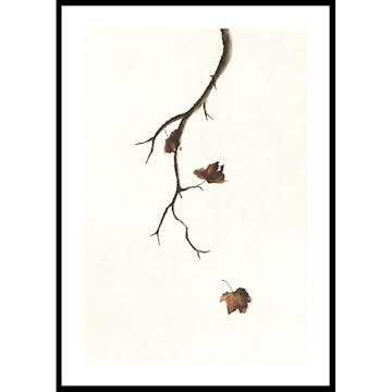 Poster Gallerix Autumn Leaves Falling