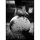Poster Gallerix Soccer Player No2