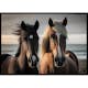 Poster Gallerix Brown Horses