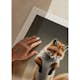 Poster Gallerix Dancing Fox