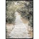 Poster Gallerix Olive Tree Garden