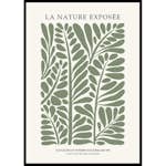 Poster Gallerix La Nature Exposee 76