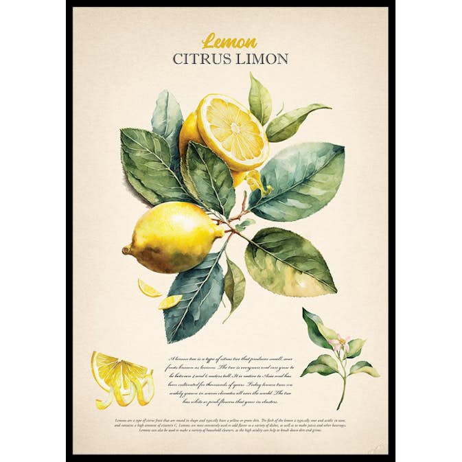 Poster Gallerix Lemon Citrus Limon