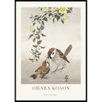 Poster Gallerix Birds And Plants No2 By Ohara Koson