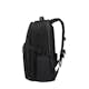 Ryggsäck Samsonite BIZ2GO 17.3" Exp Overnight