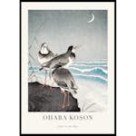 Poster Gallerix Snipes At The Shore By Ohara Koson