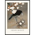 Poster Gallerix Crow And Blossom By Ohara Koson