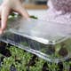 Miniväxthus Biolan för 12 plantor