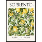 Poster Gallerix Sorrento Albero Di Limone