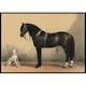 Poster Gallerix Horse And Hound