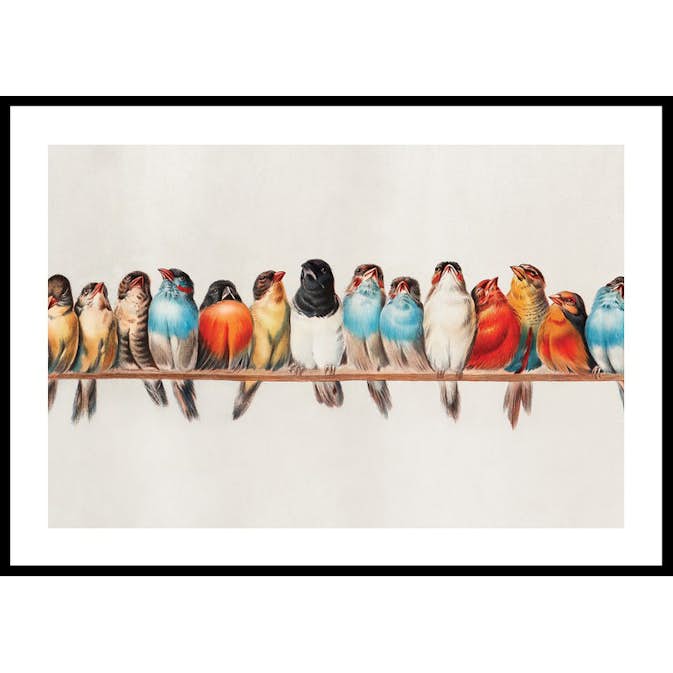 Poster Gallerix Birds In A Row Landscape