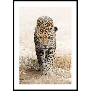 Poster Gallerix Jaguar