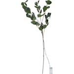 Dekorationskvist Star Trading Eucalyptus