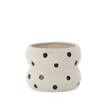 Kruka Venture Home Dapne