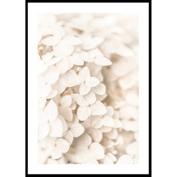 Poster Gallerix Boho Flowers No3