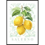 Poster Gallerix Salerno Amalfi Lemons