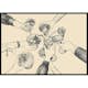 Poster Gallerix Vintage Drinks Drawing