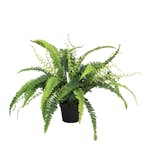 Konstväxt Fröken Fräken Ormbunke 41 cm Grön