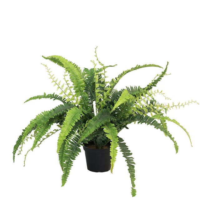 Konstväxt Fröken Fräken Ormbunke 41 cm Grön