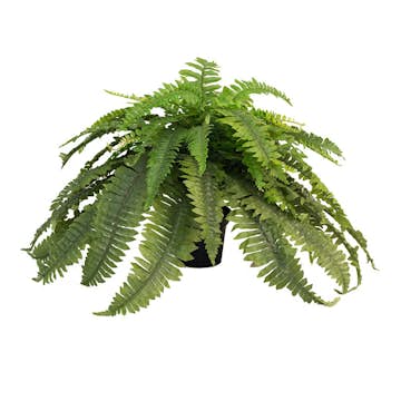 Konstväxt Fröken Fräken Ormbunke 40 cm Grön