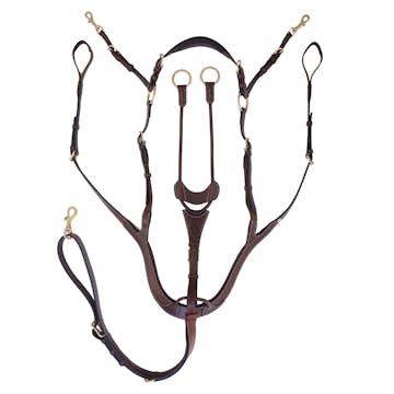 Förbygel Jacson Corona