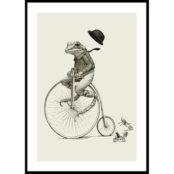Poster Gallerix Frog On A Bicycle