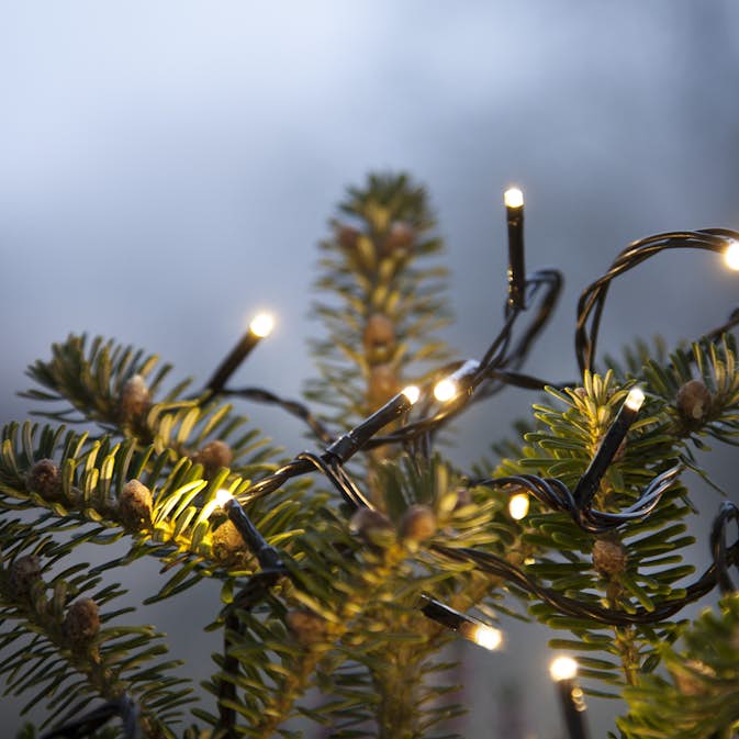 Ljusslinga Star Trading Serie MicroLED Svart