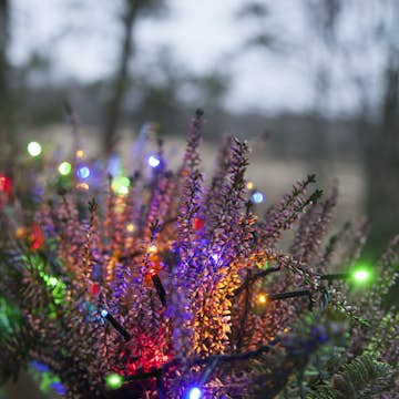 Ljusslinga Star Trading Serie MicroLED Svart