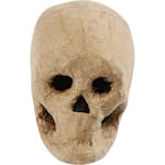Kranium Creativ Company Papier Maché H10 cm 1 St