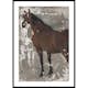 Poster Gallerix Štúdia koňa By Jozef Hanula