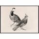 Poster Gallerix Gamble Quail By Charles Christian Nahl