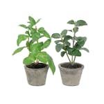 Konstväxt Fröken Fräken Kryddmix Mix