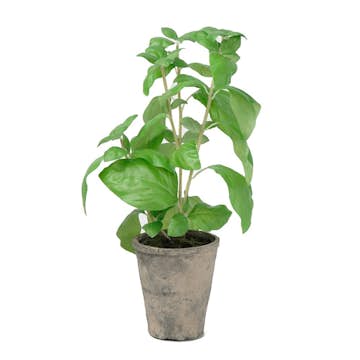 Konstväxt Fröken Fräken Basilika 38 cm Grön