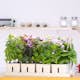 Hydroponisk Odling RobotGarden Odlingslådor Med Växtlampa & Startkit för Hemmaodling