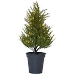 Dekorationsgran Star Trading Thuja Konstgjord Julgran med LED-belysning