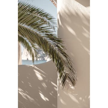 Posters Venture Home Palmleaf Beige