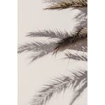 Posters Venture Home Shadow Beige