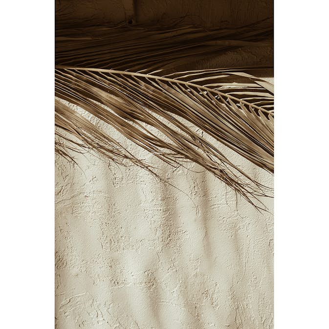 Posters Venture Home Dessert Beige