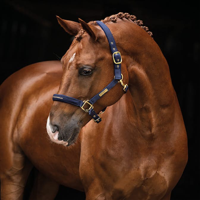Grimma HANSBO SPORT The Equestrian Life Full