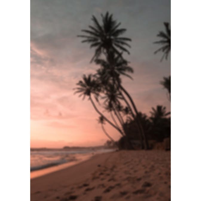 Posters Venture Home Summer Rosa