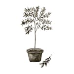 Posters Venture Home Olive Vit/grön