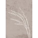 Posters Venture Home Seeds Beige