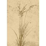 Posters Venture Home Plant Art Beige