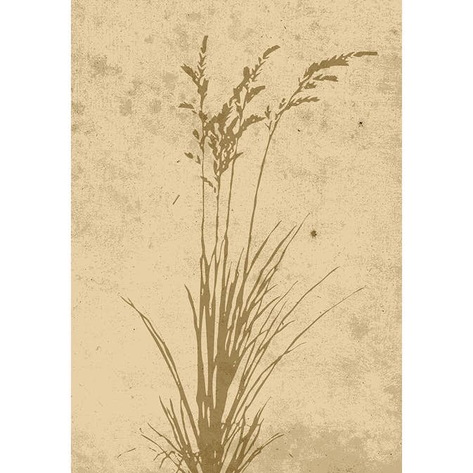 Posters Venture Home Plant Art Beige