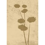 Posters Venture Home Flower Art Beige