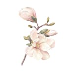 Posters Venture Home Hand Made 50x70 Rosa/vit