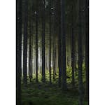 Posters Venture Home Woods Svart/grön