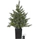 Bordsdekoration Star Trading GranGreyland95 cm 80Lb