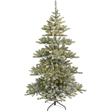 Plastgran Star Trading Arvika LED