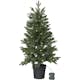 Julgran Star Trading Byske Plastgran 90 cm med LED 50 Ljus